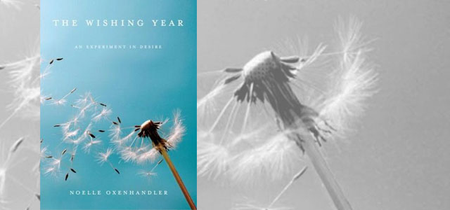 The Wishing Year