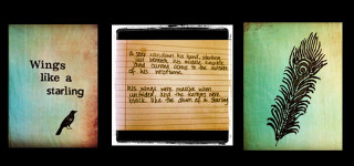 Figments and Fragments